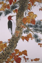 woodpecker